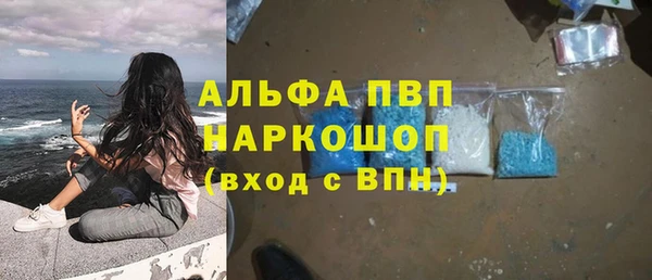 индика Новокубанск