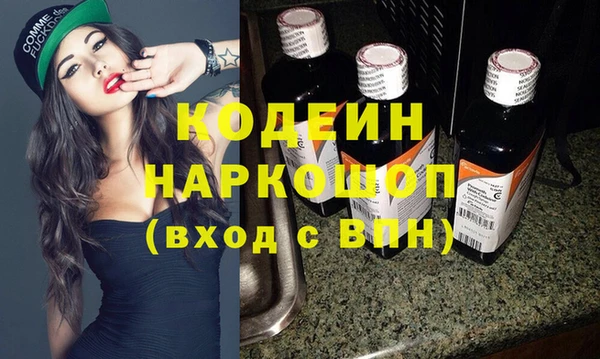 индика Новокубанск
