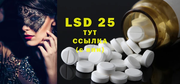 индика Новокубанск