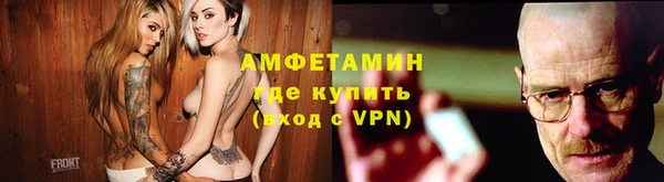 индика Новокубанск