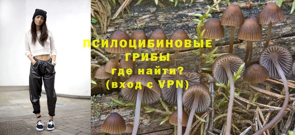 МДМА Новозыбков