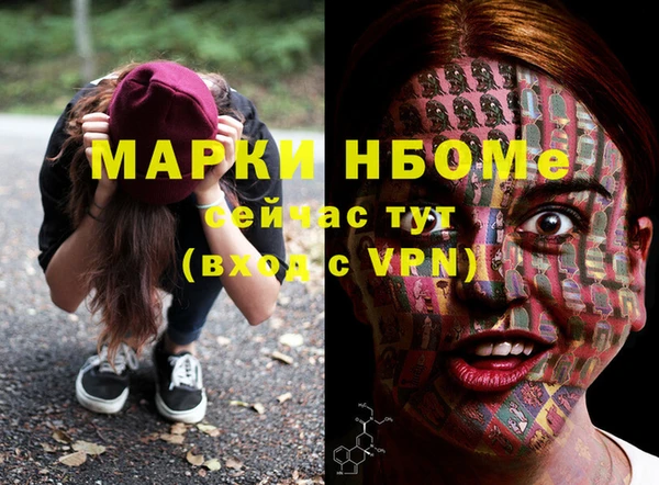 индика Новокубанск
