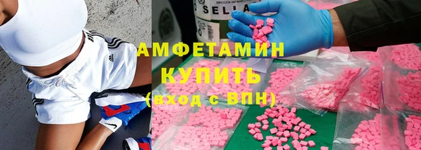 индика Новокубанск