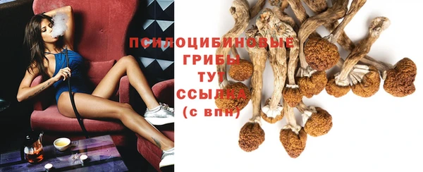 MDMA Новодвинск