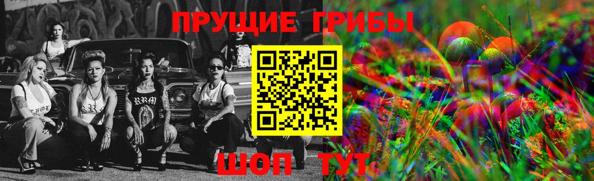 Псилоцибиновые грибы Psilocybe  Вход с VPN  Псилоцибиновые грибы GOLDEN TEACHER  Нефтекамск 